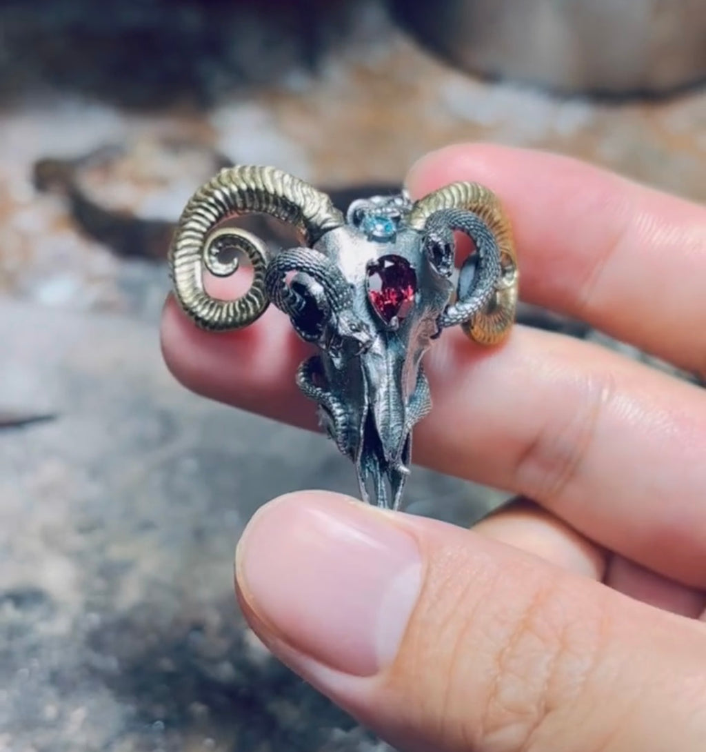 Sheep skull and snake