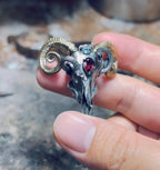 Sheep skull and snake