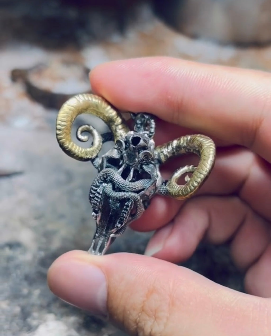 Sheep skull and snake