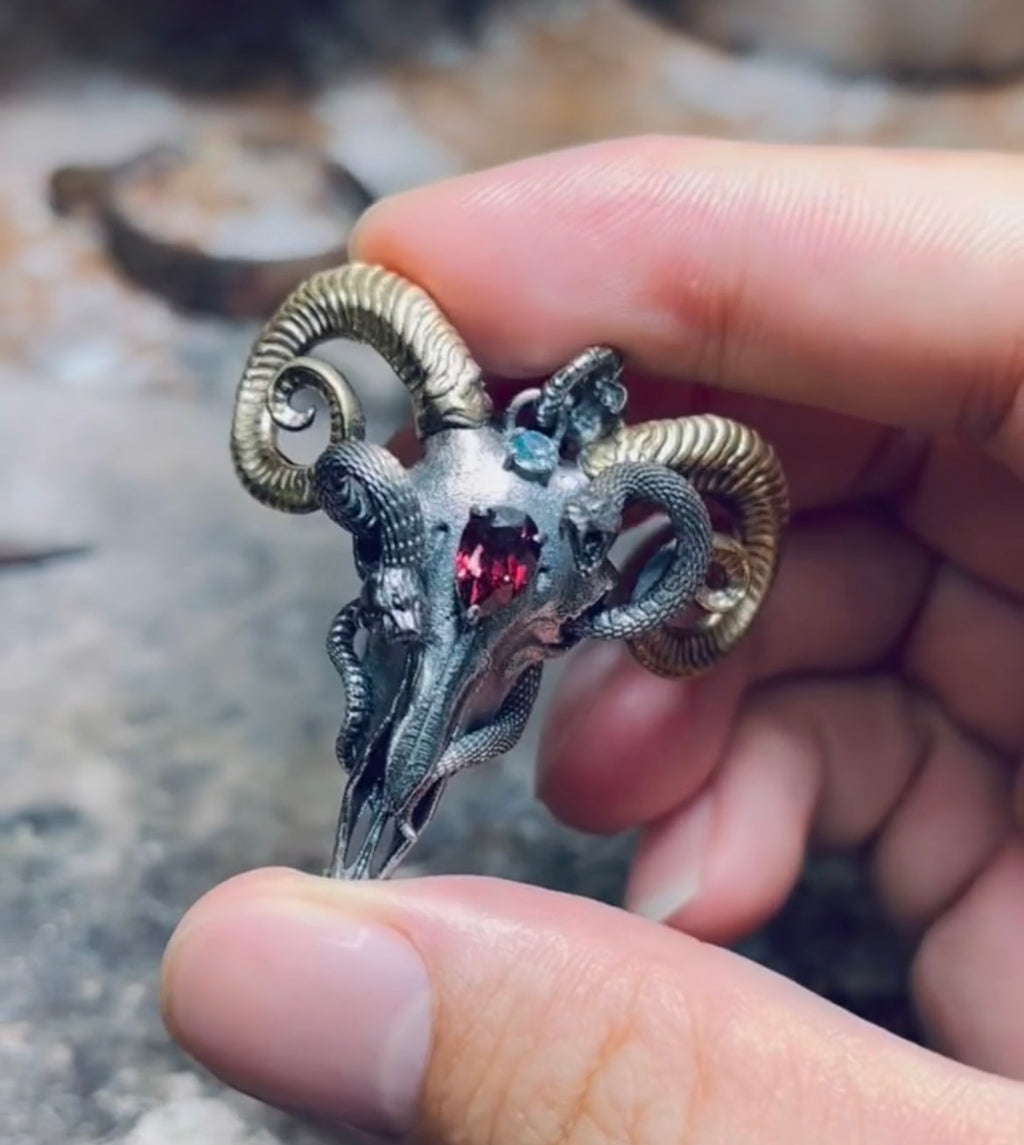 Sheep skull and snake