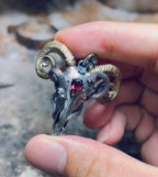 Sheep skull and snake