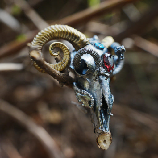 Sheep skull and snake