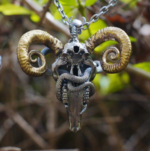 Sheep skull and snake